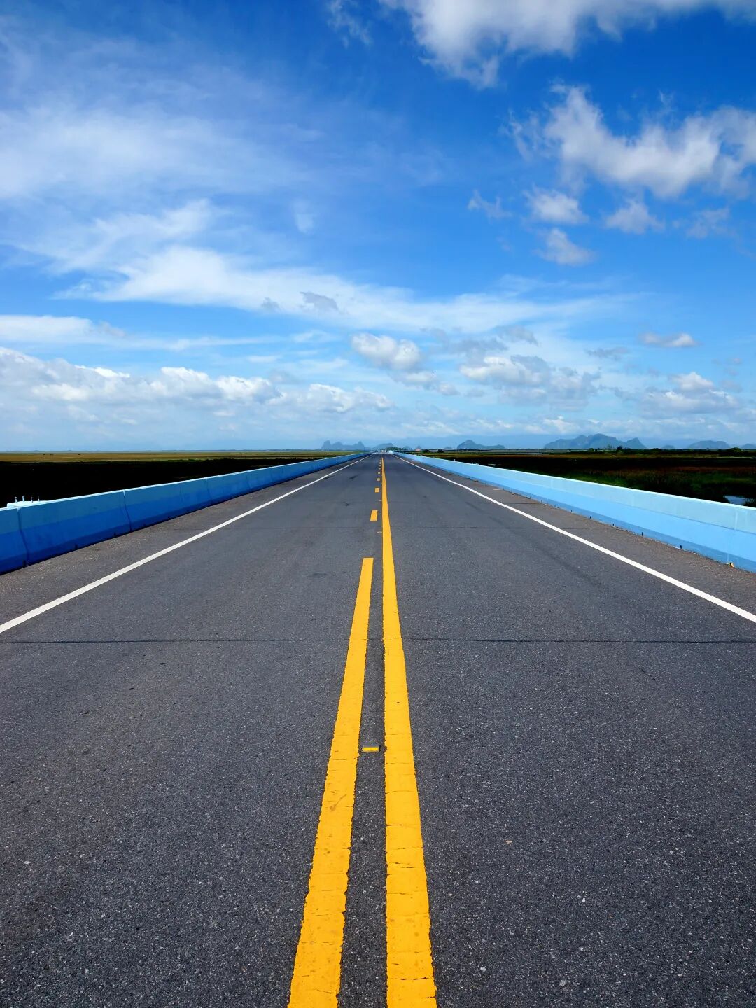 專業(yè)路況檢測_道路養(yǎng)護(hù)科技賦能_路況