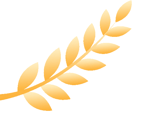 限行_天津國慶不限行_天津尾號限行規(guī)定