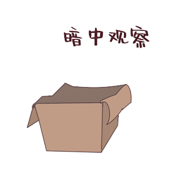 進(jìn)京證辦理流程_限行_北京自駕游限行路段