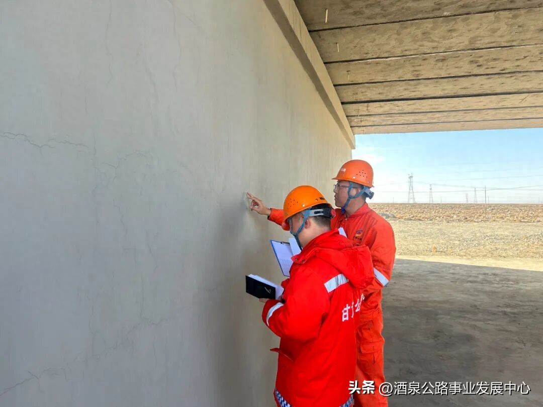 路況_病害分析_路況調查