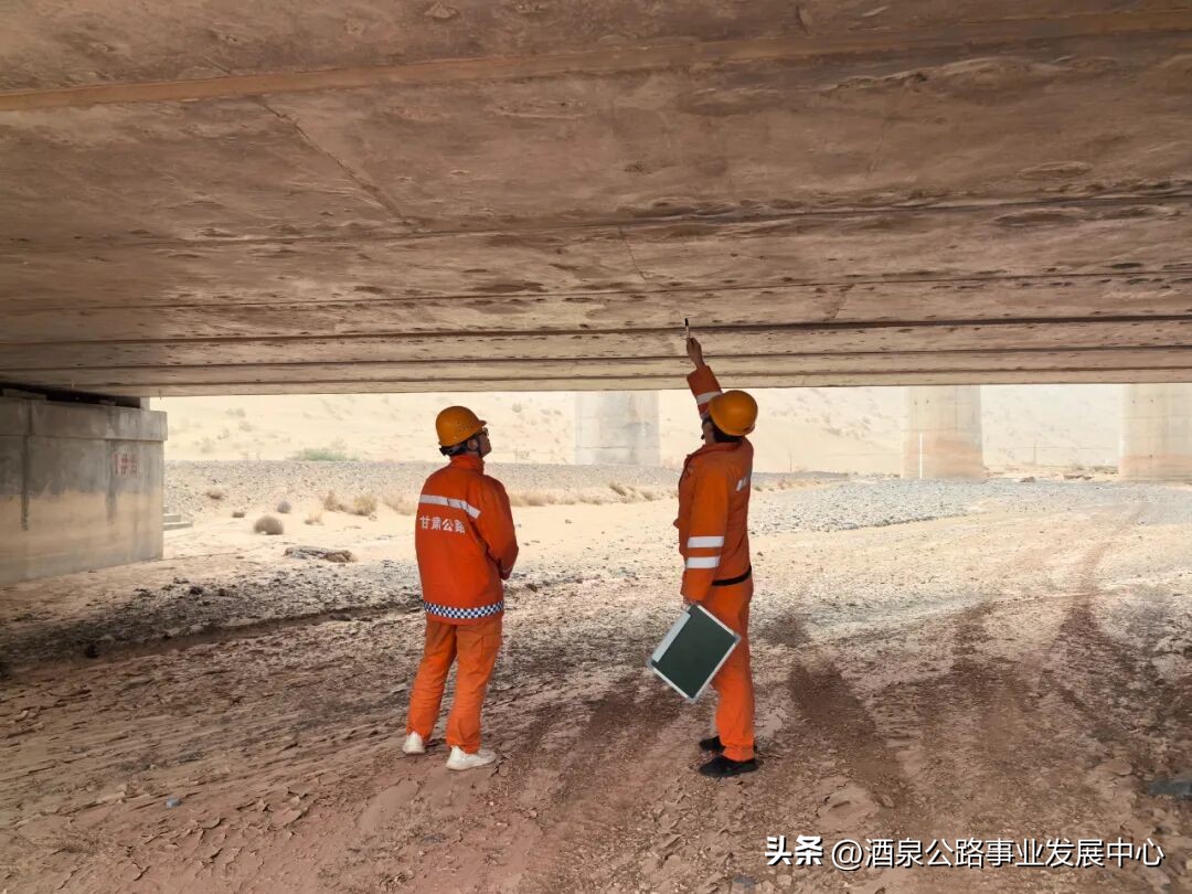 病害分析_路況_路況調查