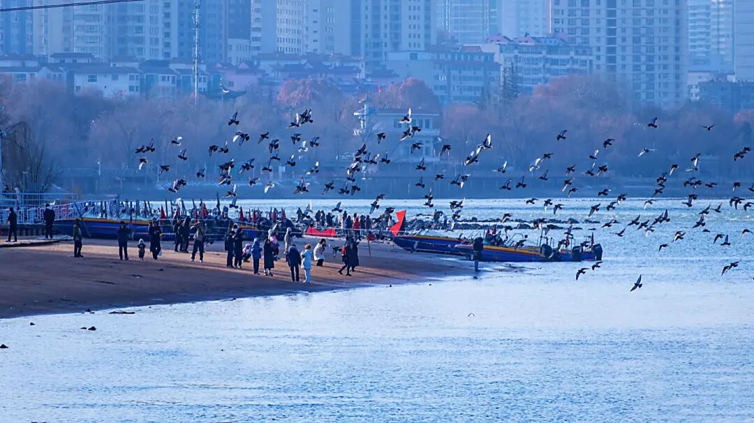 出行提示_蘭州元旦假期交通出行指南_元旦蘭州天氣及交通擁堵預(yù)測