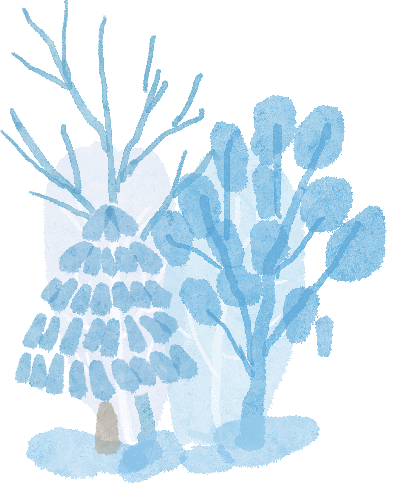 出行提示_冰雪路面駕駛技巧_冬季雪霧天氣行車(chē)安全