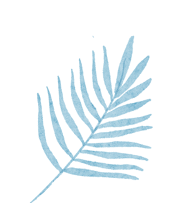 出行提示_明顯降雪天氣預(yù)報(bào)_大風(fēng)降溫天氣預(yù)報(bào)