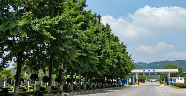 2024年清明高速免費政策_高速清明出行注意事項_出行提示